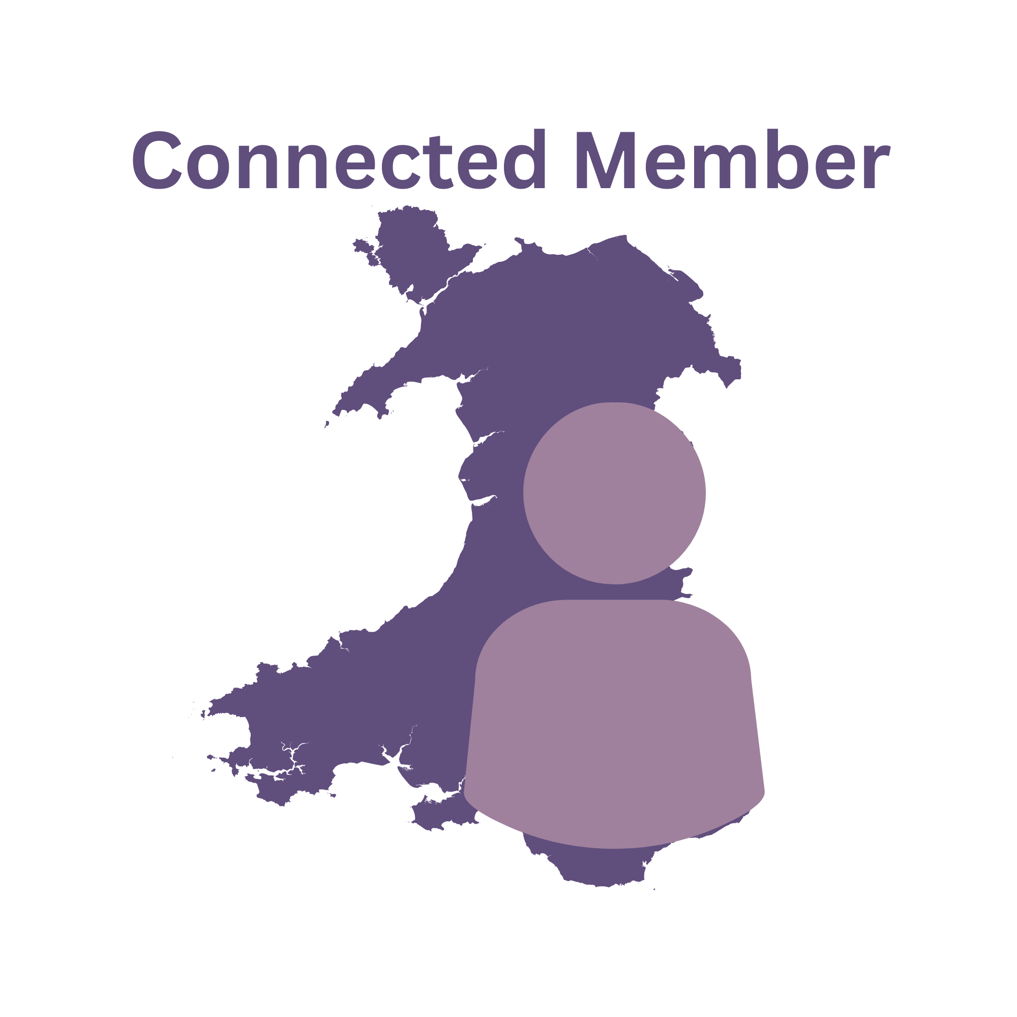 Network Member (3)